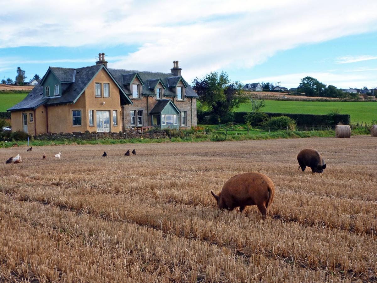 Netherton Farm B&B Culbokie Екстериор снимка